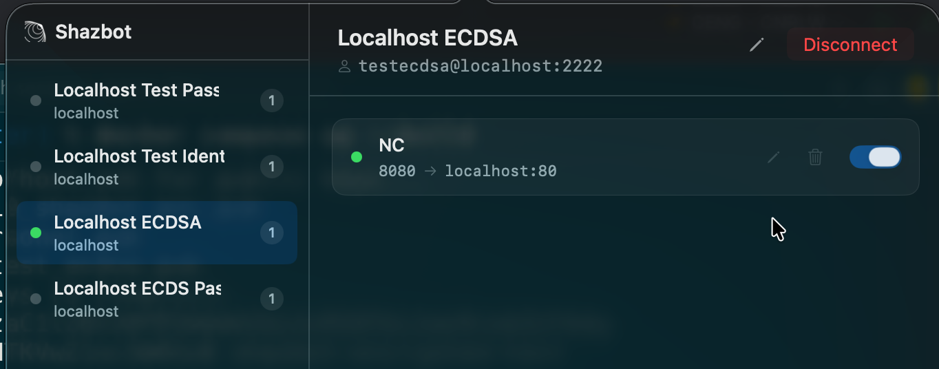 A server with an active, connected tunnel shown in green.