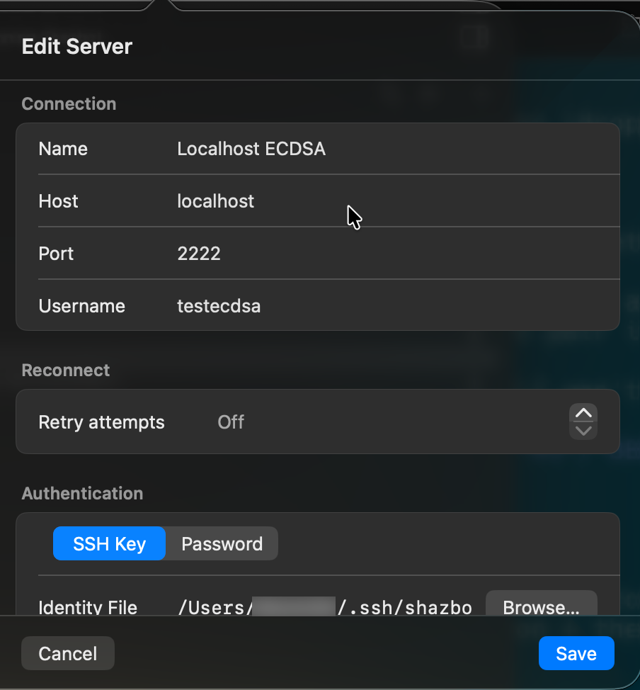 The server editor, configuring connection details and authentication.